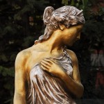venus_features